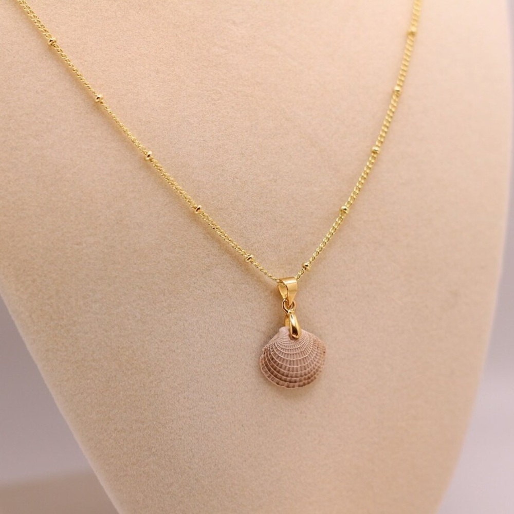Mini Cockle Shell on 14K Gold Plated Satellite Chain (18")